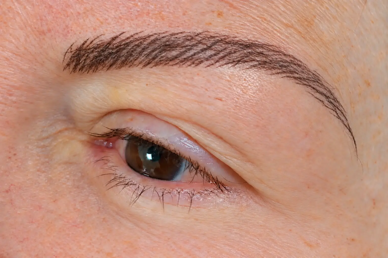 Nachherbild derselben Augenbraue nach Microblading